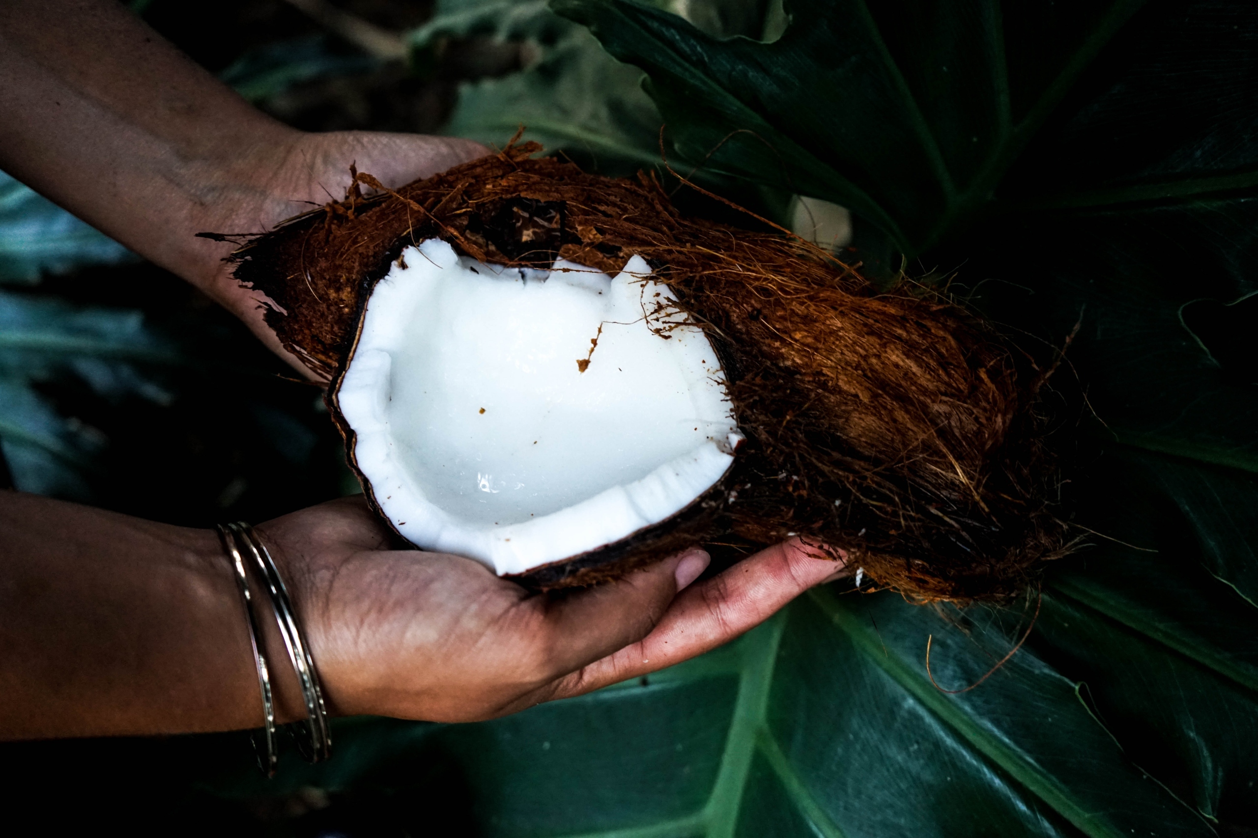 DIY: Coconut Oil Hair Masks